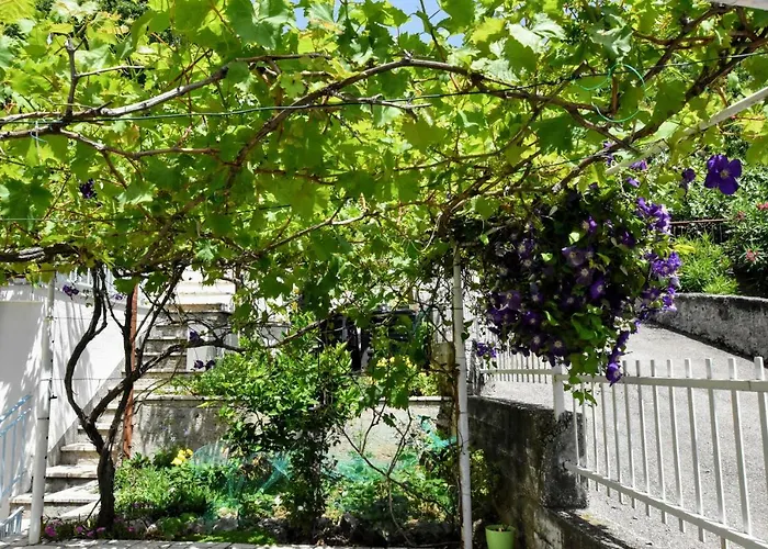 Lägenhet Kurek Crikvenica